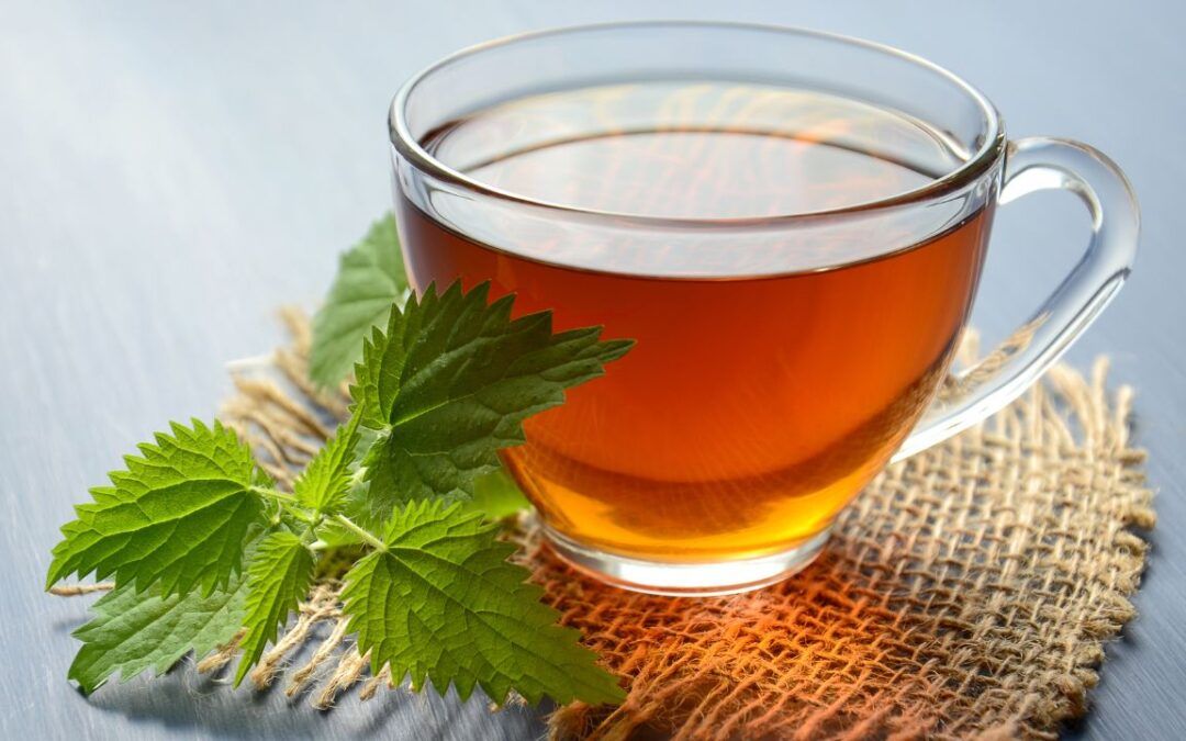 Renueva tu cuerpo con un detox natural al cambiar de estación